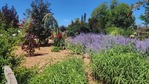 JP-Landscaping Maintenance