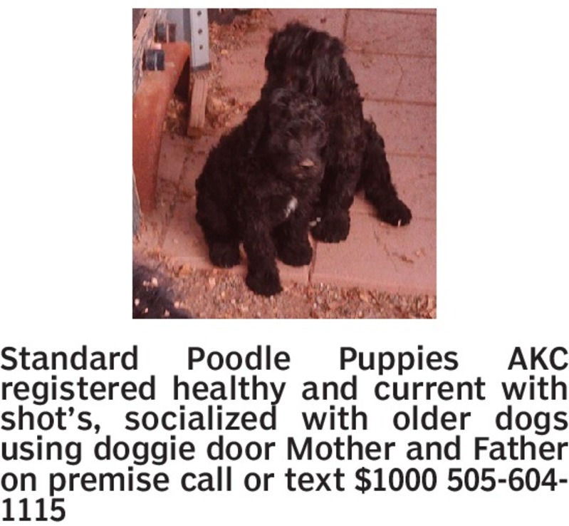 Santa Fe New Mexican Classified MarketPlace Animals Feed Equipment